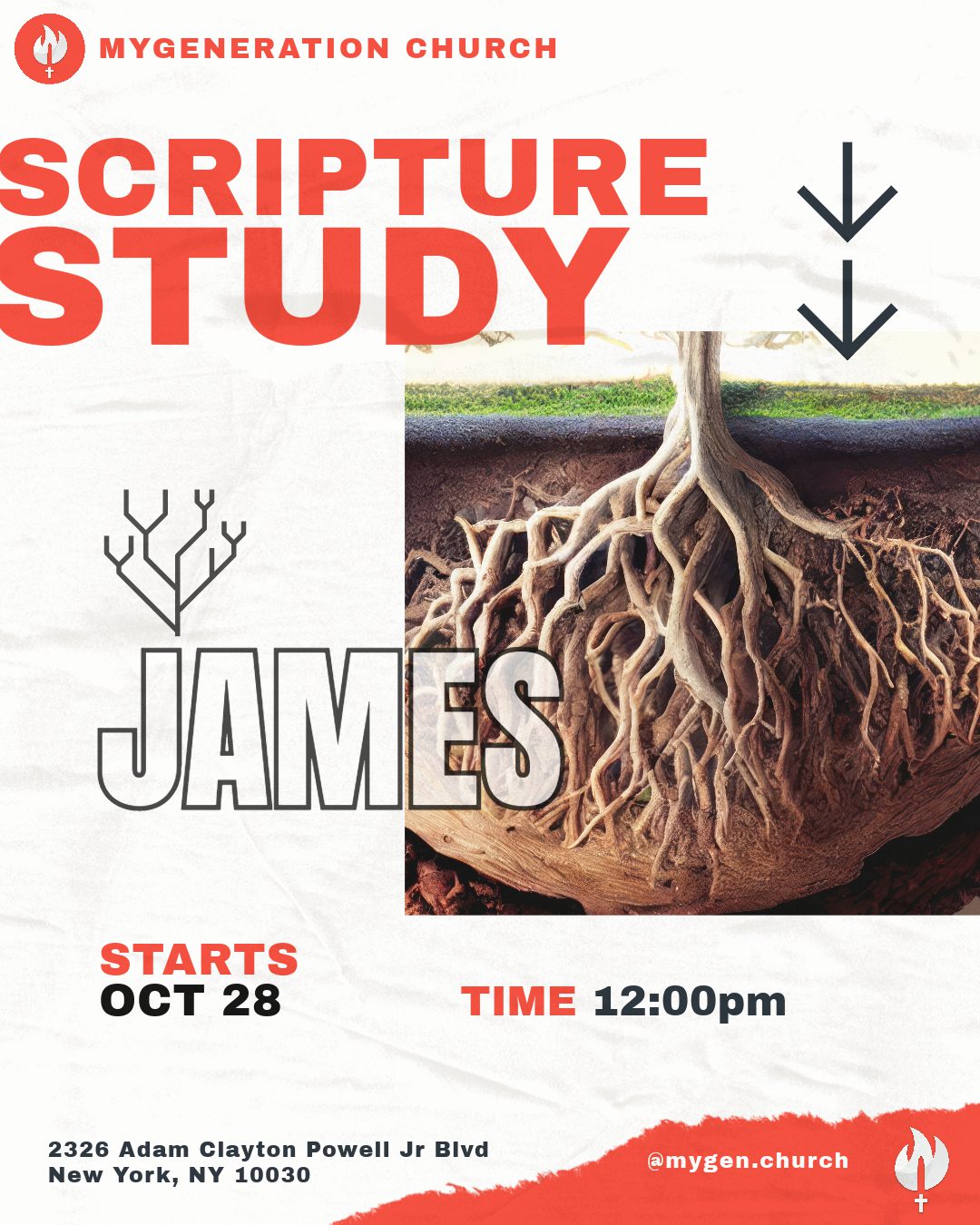 Scripture Study: James
