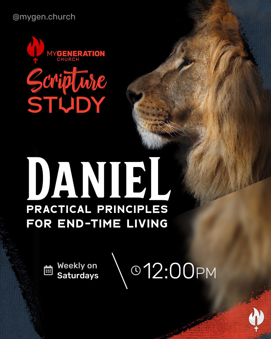 Scripture Study of Daniel: Practical Principles for End-Time Living